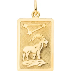 Anhänger Sternzeichen Steinbock 333 Gold Gelbgold matt rechteckig 20,8x12,1mm