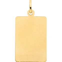 Anhänger Sternzeichen Steinbock 333 Gold Gelbgold matt rechteckig 20,8x12,1mm