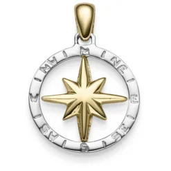 Anhänger Windrose Kompass 24x18mm aus 585 Gold Gelbgold Weißgold glänzend