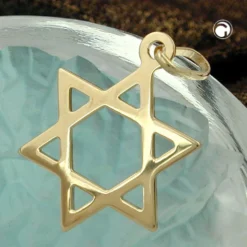 Anhänger 21x18mm David Stern aus echtem 375 Gold Gelbgold glatt Unisex