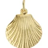 Anhänger 15,5x17,3mm Halsschmuck Muschel mit Struktur aus 333 Gold Gelbgold