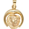 Anhänger 15x18,2mm Sternzeichen Löwe 375 Gold Gelbgold teilmattiert Horoskop