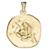 Sternzeichen Wassermann Anhänger 19,3x22,3mm aus 333 Gold Gelbgold Unisex